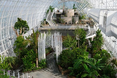 2022_10_Crystal_Bridge_Conservatory,_Photo_by_Doug_Hoke_(10)_400px